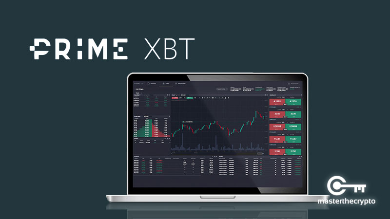 Maximize Your Trading Success with PrimeXBT Trading Companion