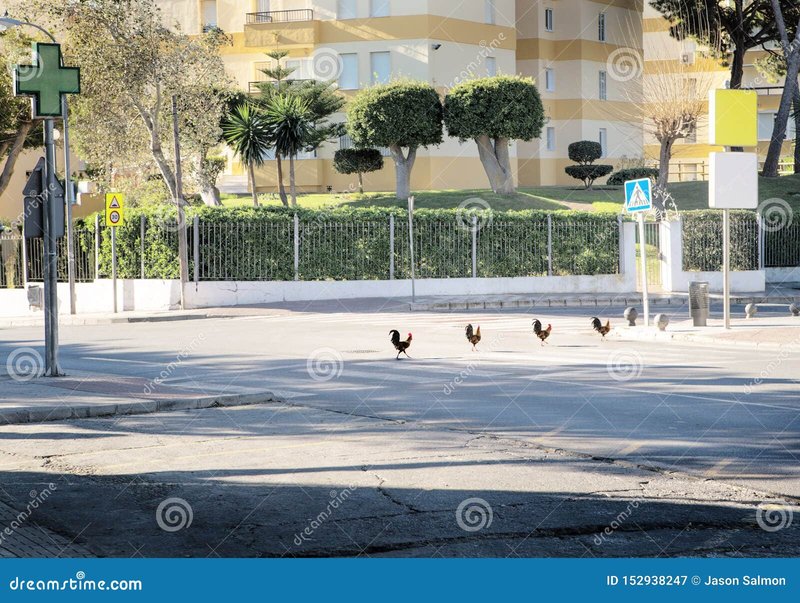 Chicken road online - Descubre El Juego de Azar que Impulsa La Emoción en Chicken Road España