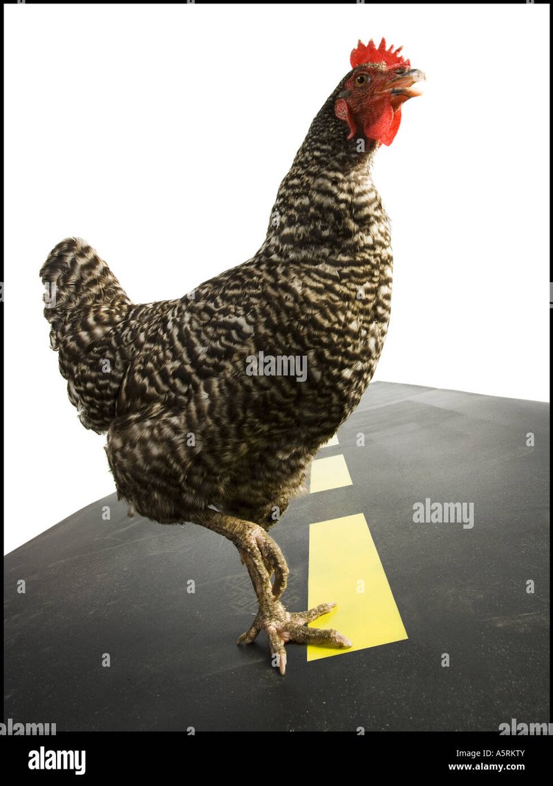 Jugar chicken road - Descubre el Mysterio de la Ruta del Pollo en las Casas de Apuestas de España