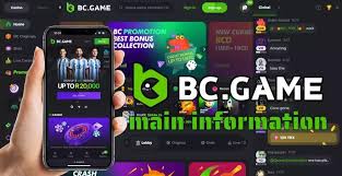 BC.Game Withdrawal Methods A Comprehensive Guide