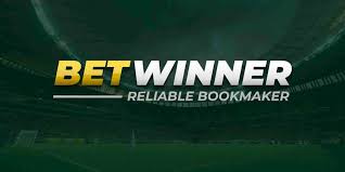Cricket Betting in Ivory Coast Top Insights at BetWinner